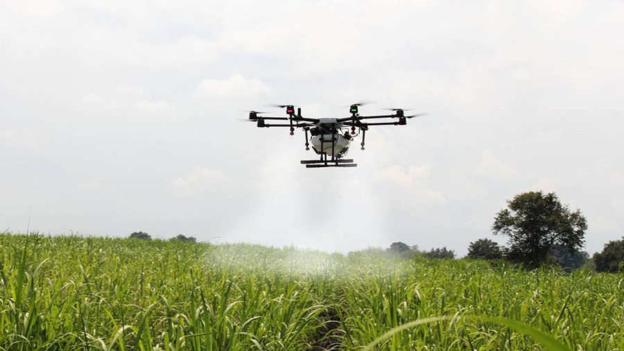 Drones na agricultura: AGU é favorável à pulverização aérea no Ceará